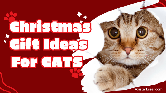 Top Christmas Gift Ideas for Cats in 2024